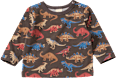 Langarmshirt Pro Climate mit Dino-Muster, grau, Gr. 80 ALANA