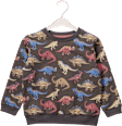 Sweatshirt mit Dino-Motiv, grau, Gr. 104 ALANA