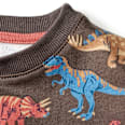 Sweatshirt mit Dino-Motiv, grau, Gr. 104 ALANA