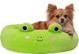 Krevet za životinje žaba – Wendy, S SQUISHMALLOWS