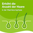 Kapseln für den Nährstoffbedarf der Haarwurzel Priorin