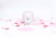 Nagellack 513 Sheer Luck essie