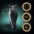 Nassfutter Katze feine Vielfalt in Sauce, Multipack (12x85 g) Sheba