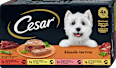 Nassfutter Hund klassik-terrine Cesar