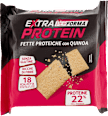 Fette proteiche con quinoa  PERFORMA
