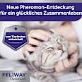 Pheromonverdampfer "Optimum" +Starterset für Katzen Feliway