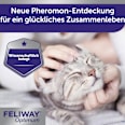 Nachfüllpack für Pheromonverdampfer "Optimum" für Katzen (3 Stück) Feliway
