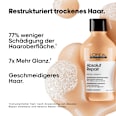 Shampoo Absolut Repair L´Oréal Professionnel