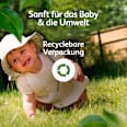 Baby Massage- und Pflegeöl natursanft  Penaten