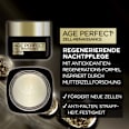 Age Perfect Zell-Renaissance Nachtpflege L'ORÉAL PARiS AGE PERFECT