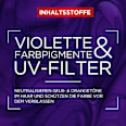 Color-Glanz Purple Shampoo Anti-Gelbstich L'ORÉAL PARiS ELVITAL