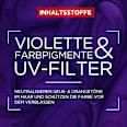 Shampoo Color Glanz Purple L'ORÉAL PARiS ELVITAL