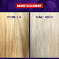 Shampoo Color Glanz Purple L'ORÉAL PARiS ELVITAL