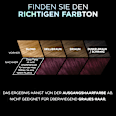 Haarfarbe Vivid Colors 4.261 Dark Purple L'ORÉAL PARiS PRÉFÉRENCE