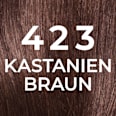Intensivtönung Natural Gloss 423 Kastanienbraun  L'ORÉAL PARiS CASTING Crème Gloss