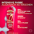 Shampoo Color Glanz L'ORÉAL PARiS ELVITAL