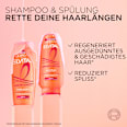 Shampoo Dream Length L'ORÉAL PARiS ELVITAL