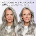 barva na vlasy Cool Silver, zářivá bílá L'ORÉAL PARiS