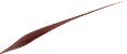 INFAILLIBLE GRIP 24H PRECISION FELT ajlajner - 02 Brown L'ORÉAL PARiS