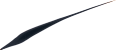 Infaillible Grip Precision tuș carioca Black L'ORÉAL PARiS