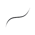 Micro Fine Liner Obsidian Black L'ORÉAL PARiS