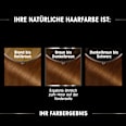 Olia dauerhafte Haarfarbe - Nr. 5.3 Goldbraun; GARNIER olia