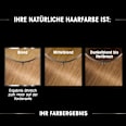 Haarfarbe 8.31 Honigblond GARNIER olia