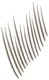 Augenbrauenstift Build-A-Brow 259 Ash Brown MAYBELLINE NEW YORK