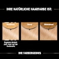 dauerhafte Haarfarbe - Nr. 10.0 Extra Hellblond GARNIER olia