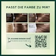 Nutrisse Creme dauerhafte Pflege-Haarfarbe - Nr. 6N Natürliches Dunkelblond GARNIER NUTRISSE