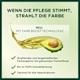 Nutrisse Creme dauerhafte Pflege-Haarfarbe - Nr. 6N Natürliches Dunkelblond GARNIER NUTRISSE