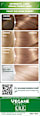 Nutrisse Creme dauerhafte Pflege-Haarfarbe - Nr. 8N Natürliches Blond GARNIER NUTRISSE