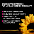 Haare Aufheller B+++ Ultra  GARNIER olia