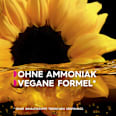 Haare Aufheller B+++ Ultra  GARNIER olia