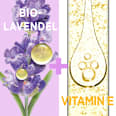 Anti-Falten Augenpflege Bio-Lavendel GARNIER BIO