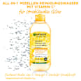 Mizellenwasser All-in-1 mit Vitamin C Garnier Skin Active