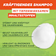 Shampoo Vitamine & Kraft  GARNIER FRUCTIS