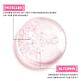 Mizellenwasser All-in-1 Normale & Empfindliche Haut Garnier Skin Active