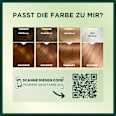 Nutrisse Ultra Creme Haarfarbe - Nr. 6.03 Natürliches Goldenes Dunkelblond GARNIER NUTRISSE