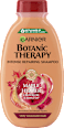 Šampon Ricil Oil & Almond GARNIER BOTANIC THERAPY