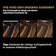 Highlightset für braunes Haar GARNIER olia
