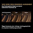 Strähnchen Set, Highlights für braunes Haar GARNIER olia