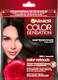 Intensivtönung Schwarz GARNIER Color Sensation