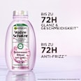 Shampoo Glättend Reiswasser Ritual und Stärke Wahre Schätze