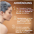 Haarfarbe 8.0 Honig Blond GARNIER GOOD