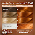 Haarfarbe 7.43 Kurkuma Kupfer GARNIER GOOD