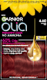 Vopsea permanentă 6.60 Intense Red GARNIER olia