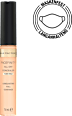 Concealer Facefinity All Day Flawless 10 MAX FACTOR