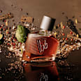Magnetic Man edt Bruno Banani