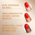 Geschenk-Set Nagellacke Miracle Pure 205 & 305 + gratis Top Coat MAX FACTOR